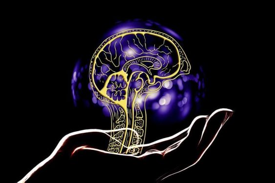 Dr. Sedat Telçeken yazdı: Yapay Zekâ ve Elektronik Süper Beyinler