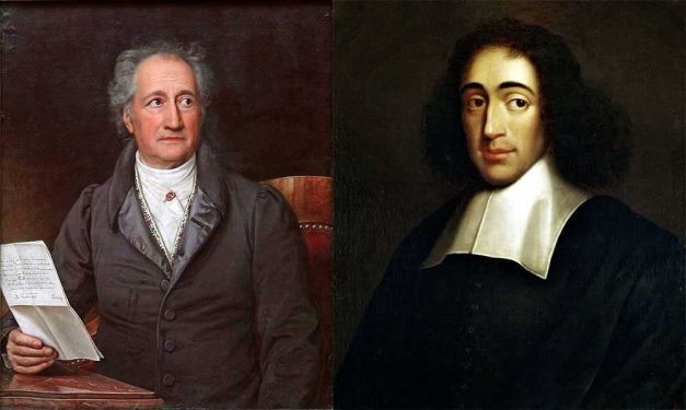 Goethe Spinoza