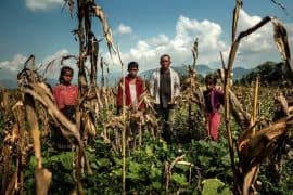 The New York Times’in Küresel Göç Dosyası | Büyük İklim Göçü