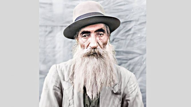 Dersim HAREKATI
