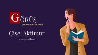 The Penguin Illusion: The Majority, Power, and the Kurdish Question